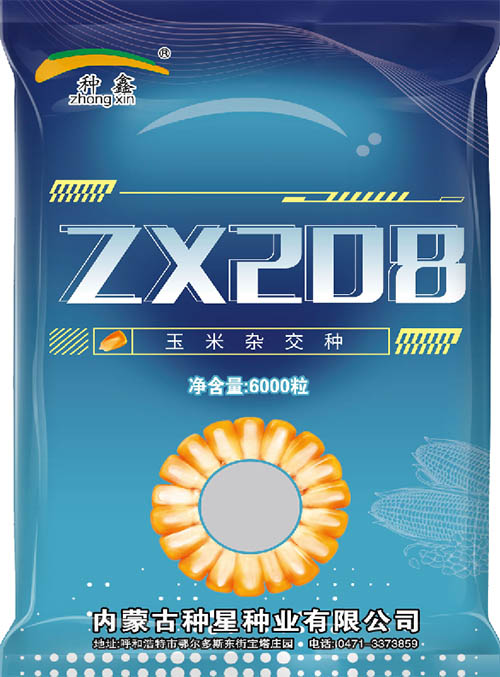 ZX 208-01-500.jpg