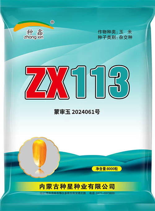 1733203419720756.jpg ZX 113-01-500A.jpg